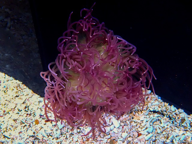 l260811-23