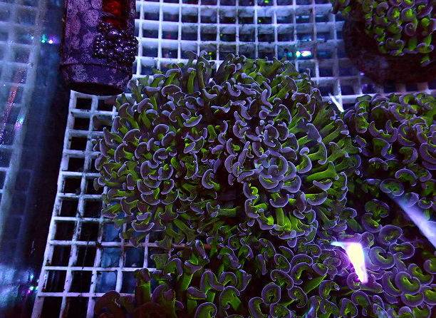 s260811001 (10)