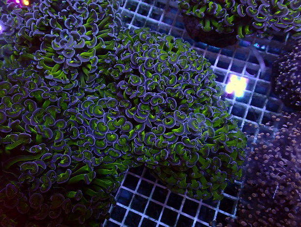 s260811001 (11)