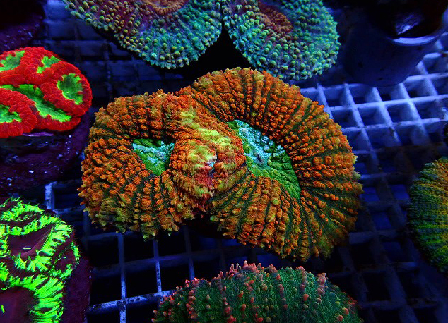 s260811001 (49)