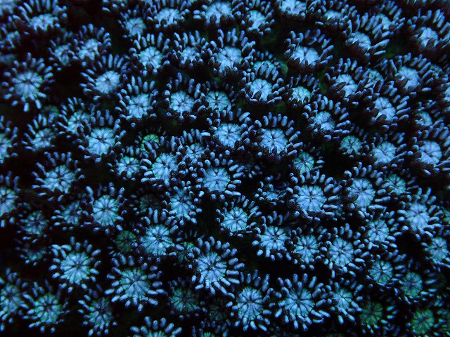 s260811001 (97)