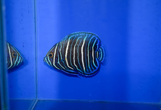 c260916-05
