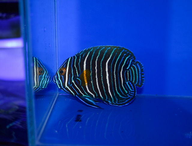 c260916-09