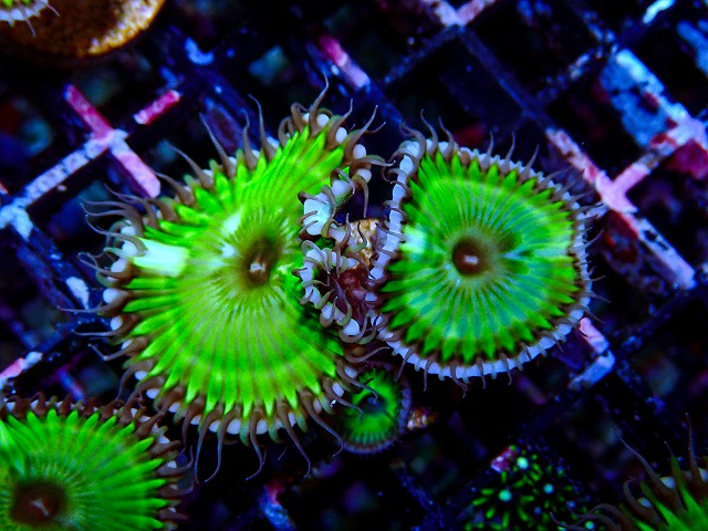l260917-03