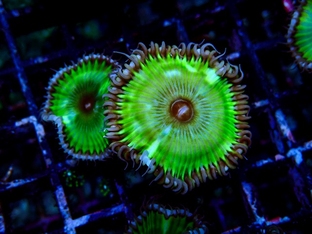 l260917-07