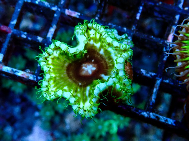 l260917-10