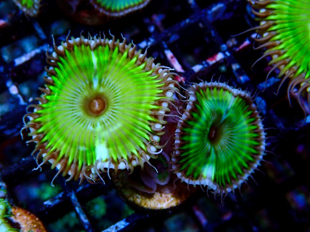 l260917-11