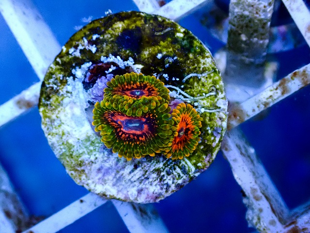 l260917-15