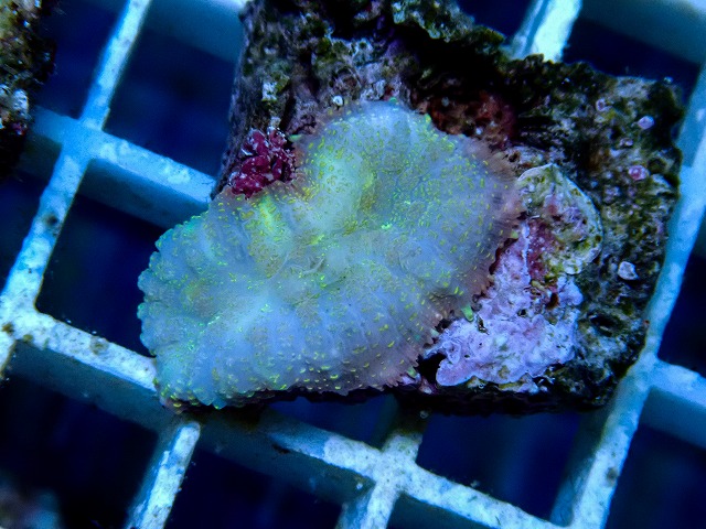 l260917-22