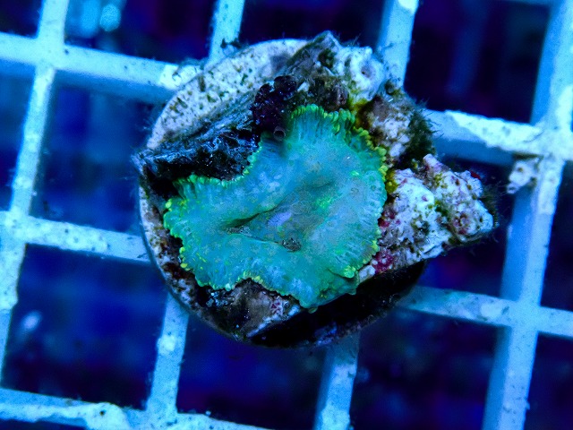 l260917-26