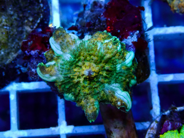 l260917-37