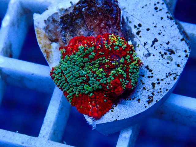 l260917-48