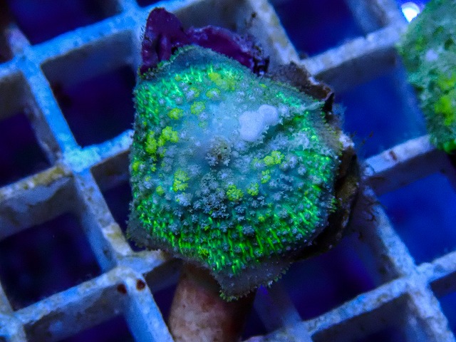 l260918-02