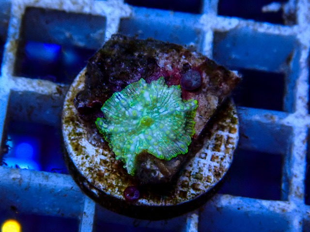 l260918-04