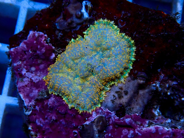 l260918-07