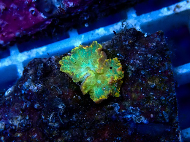 l260918-08