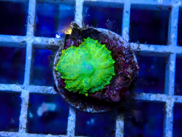 l260918-11