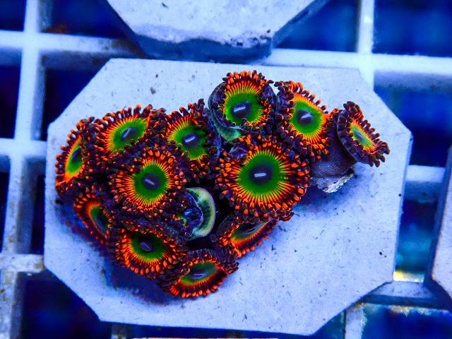 l260918-30