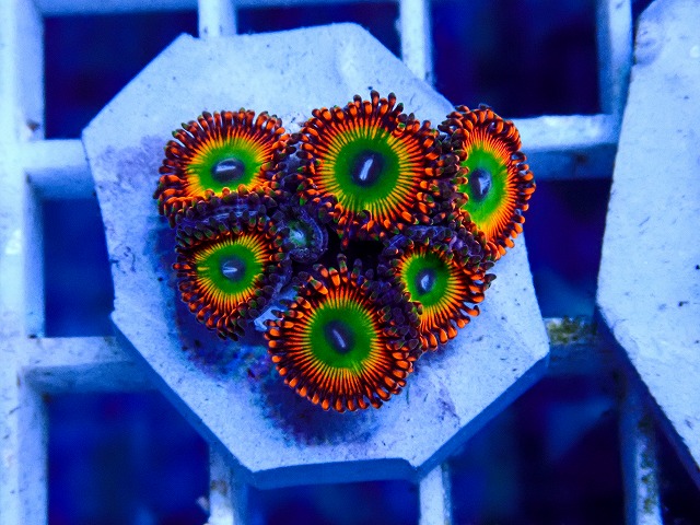 l260918-45