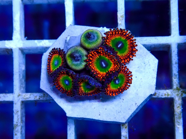 l260918-46
