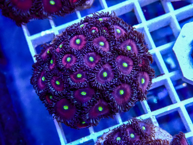l260918-49