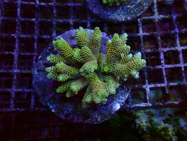 s260918001 (19)