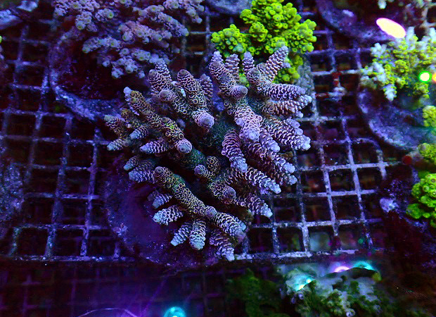 s260918001 (5)