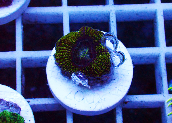 s260919001 (108)