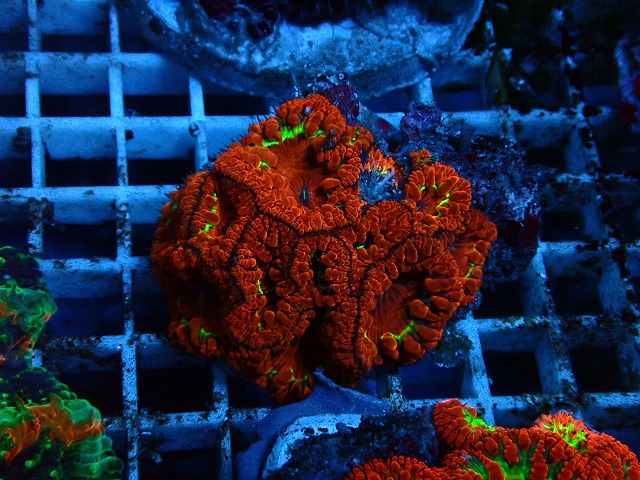 s260919001 (20)