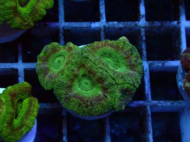 s260919001 (59)