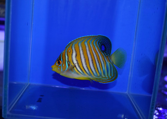 s260923001 (3)