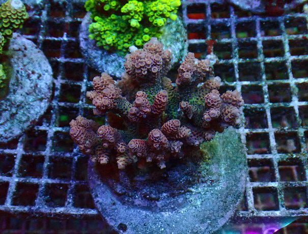 s260925001 (10)
