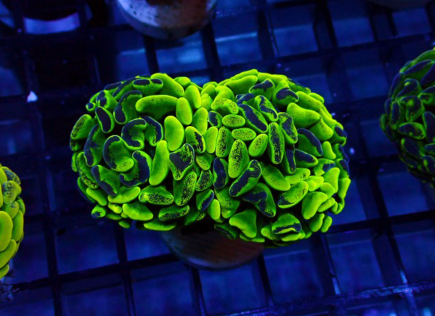 S261004001 (18)
