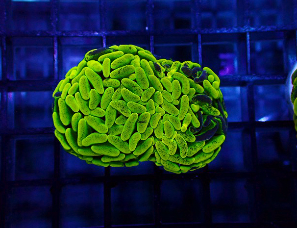 S261004001 (7)