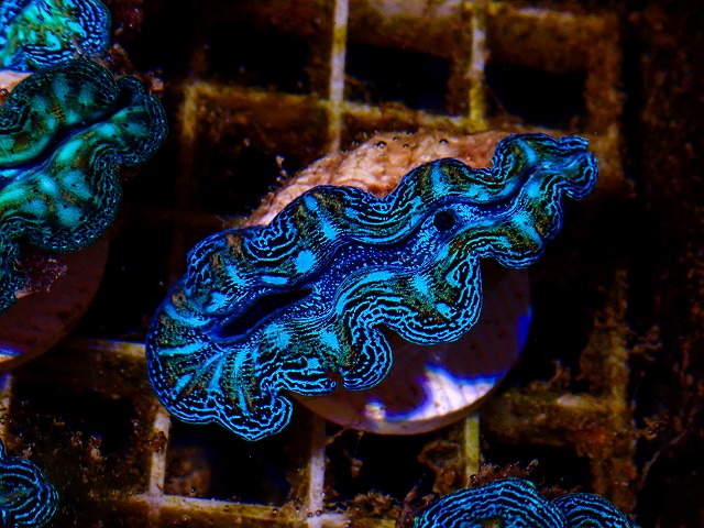 l261002-01