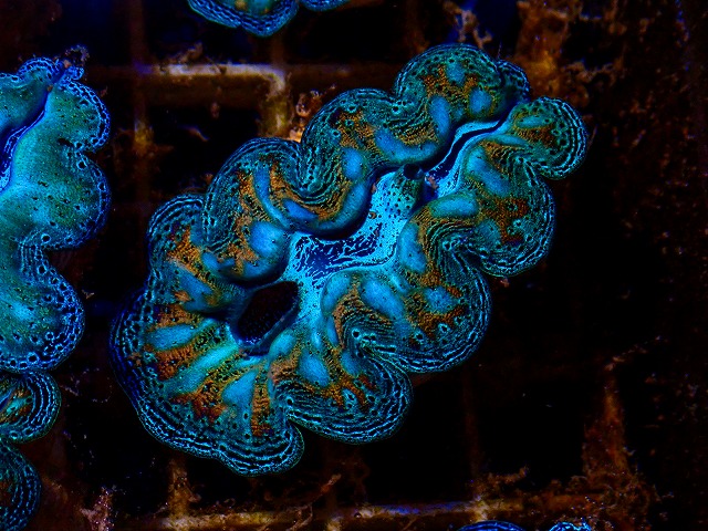 l261002-06
