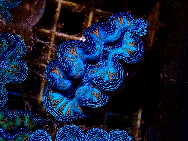 l261002-07