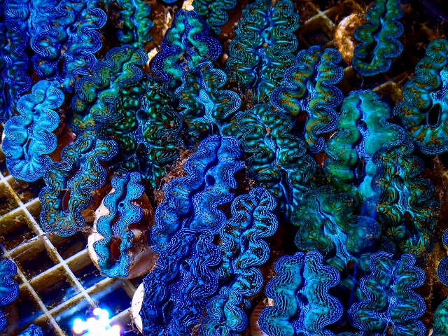 l261002-09