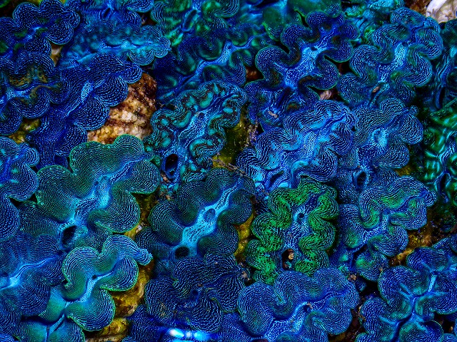 l261002-10