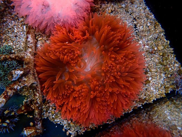 l261008-1