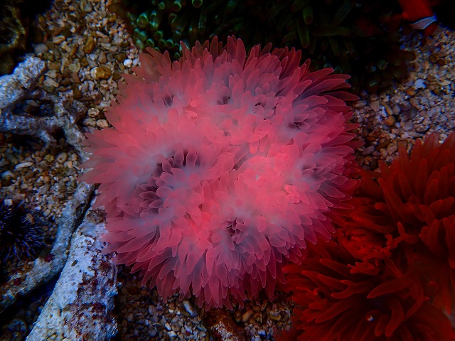 l261008-2