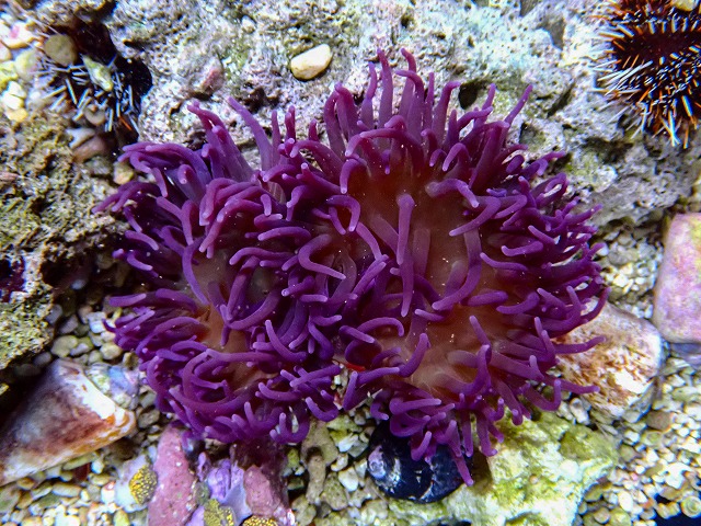 l261017-01