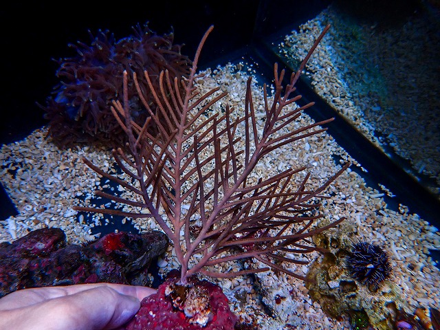 l261017-08