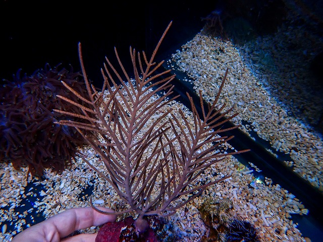 l261017-09