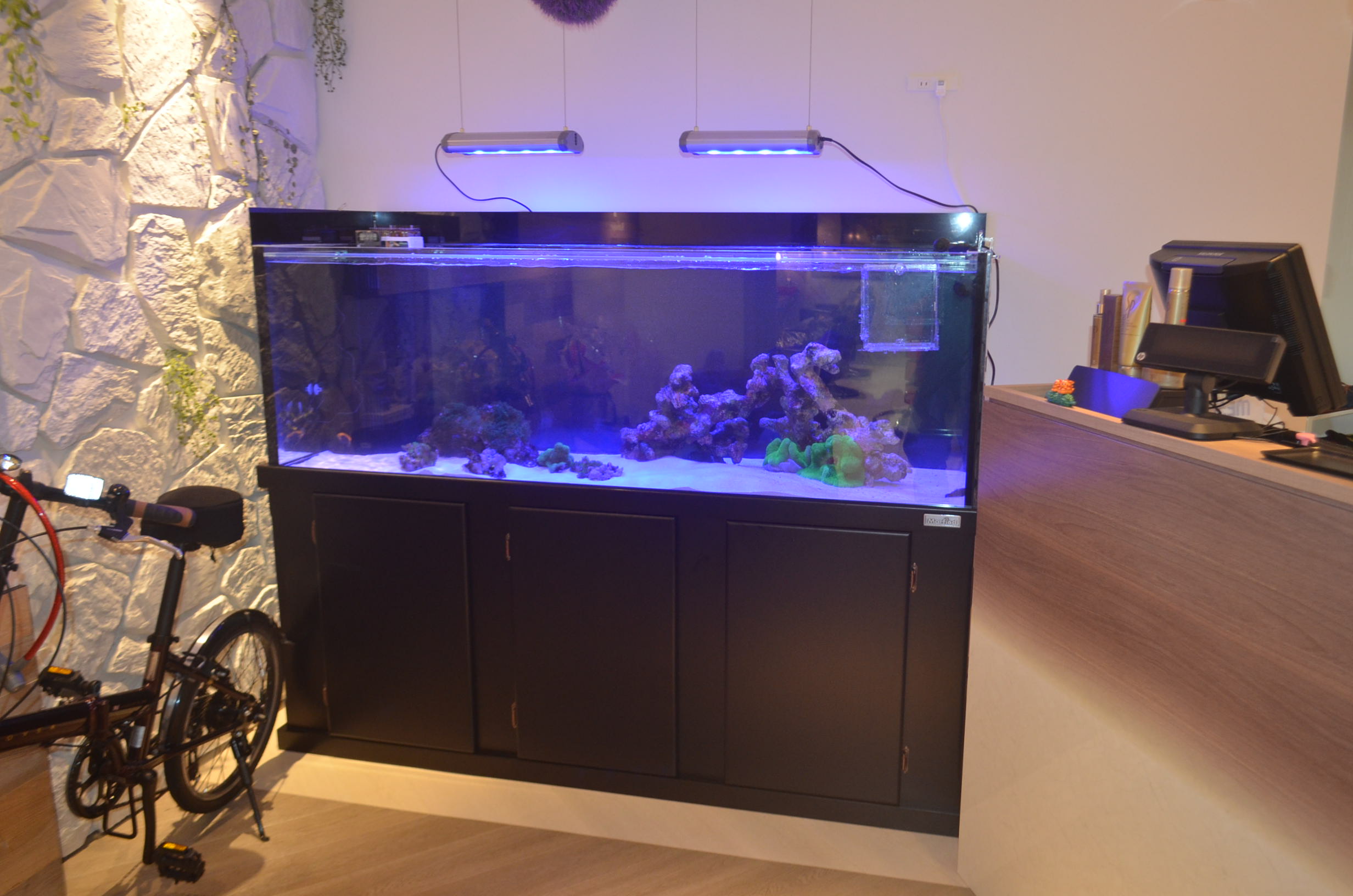 美容室にある180cm水槽 生麦海水魚センター