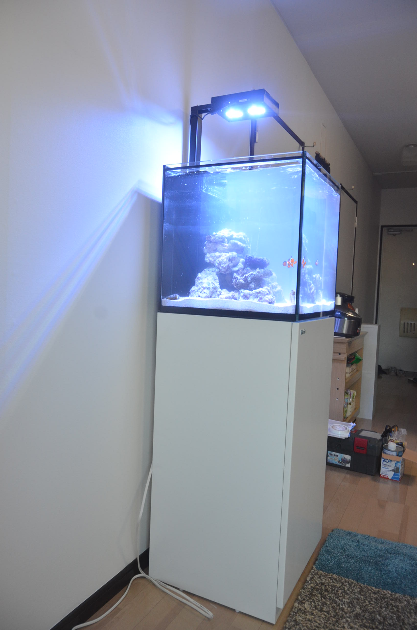 オーバーフロー水槽設置作業（神奈川県） | 生麦海水魚センター