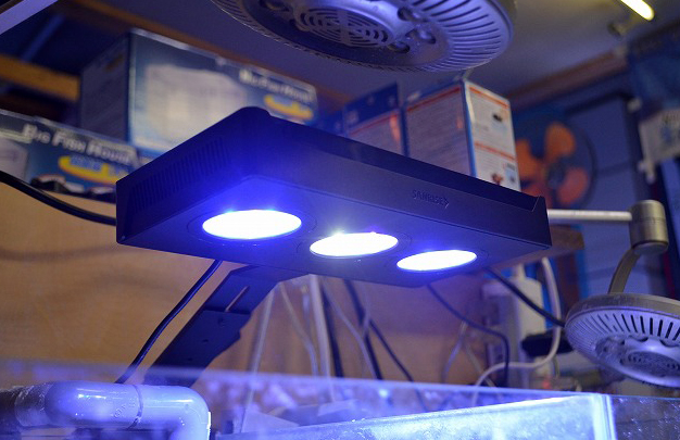 最新小型LED展示中！ | 生麦海水魚センター