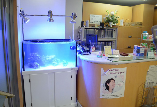 オーバーフロー水槽設置～歯科医院にある90cm水槽～ | 生麦海水魚センター