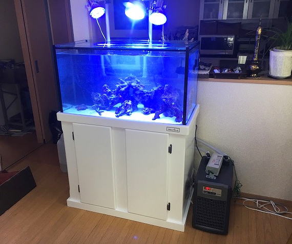 超美品 60cm水槽 オーバーフロー水槽 海水にオススメ 送料込み 魚用品 水草 Alrc Asia