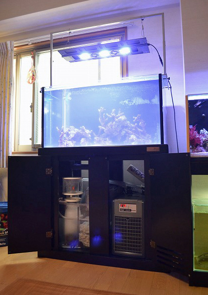 クーラー収容可能！マーフィードオーバーフロー水槽セット | 生麦海水魚センター